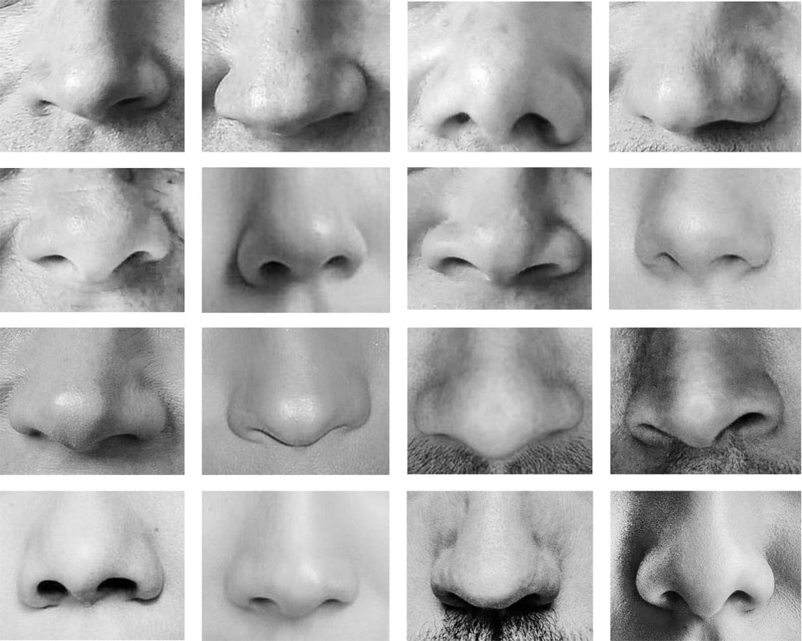 Виды носов. Нос человека разной формы. Типы человеческих Носов. Типы Носов у мужчин.